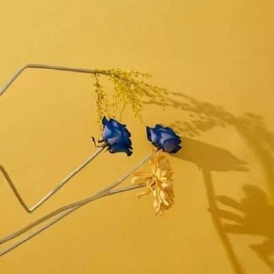 星空下载站官网手机app下载截图